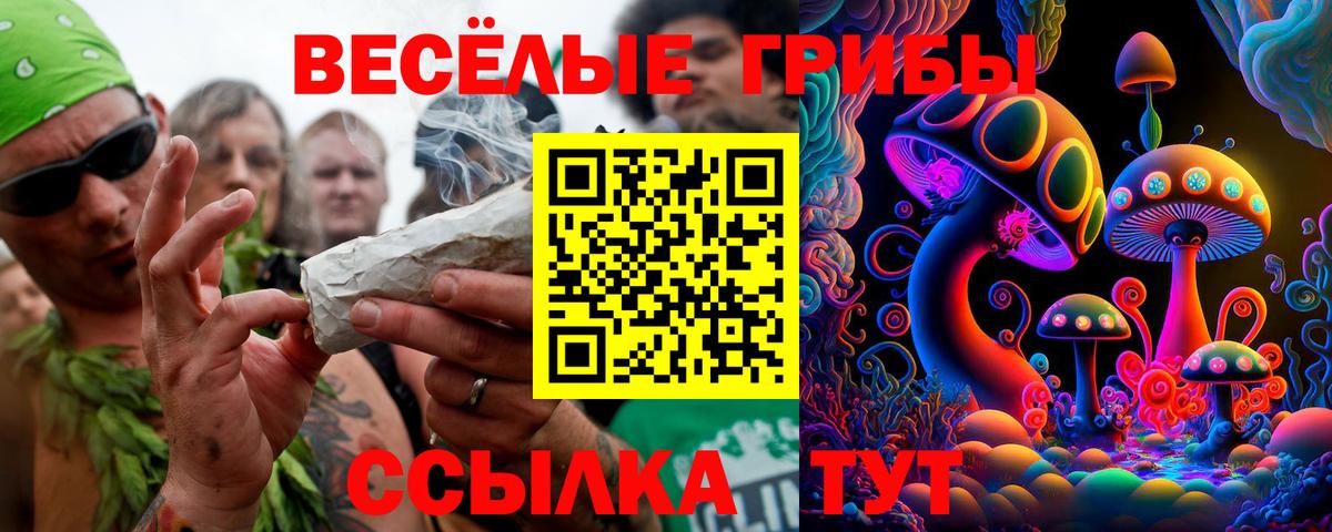 Галлюциногенные грибы мухоморы Магадан